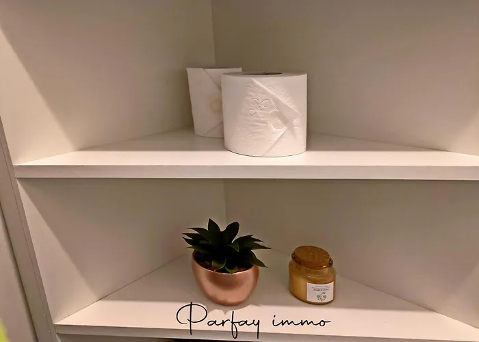 Le Hyper Centre Agreable Et Moderne 2 Pieces